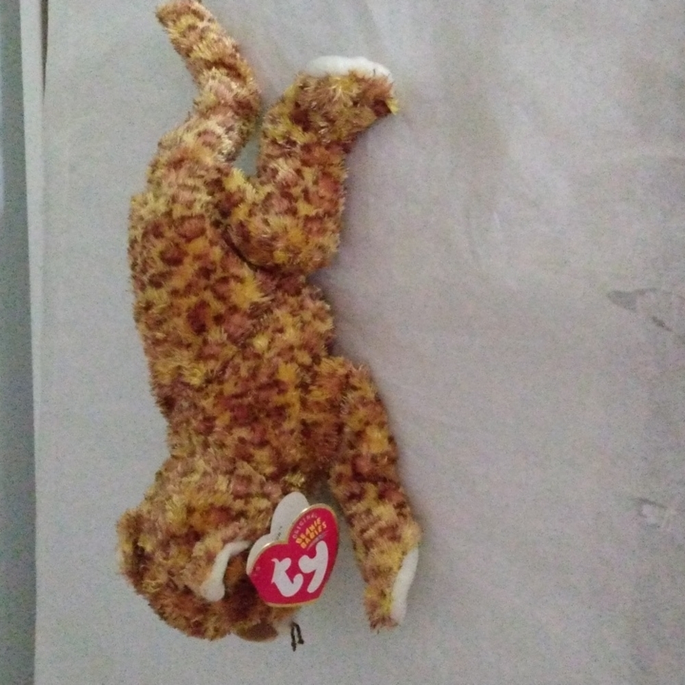 TY Beanie Baby Dotson - Picture 3 of 5